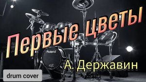 А. Державин - Первые цветы (drum cover)🥁.mp4