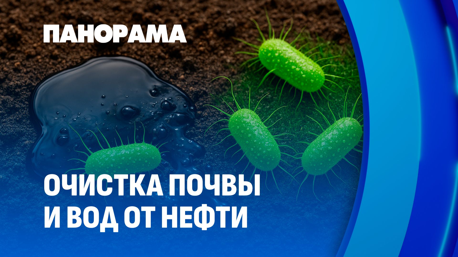 На страже экологии. Белорусские ученые вывели микроорганизмы, поедающие нефть. Панорама