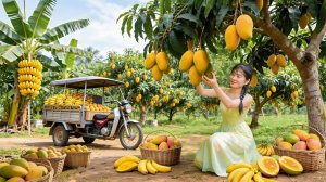 Собрала много манго и огурцов, Навожу порядок в саду, после сбора урожая и приготовим еду на гриле.