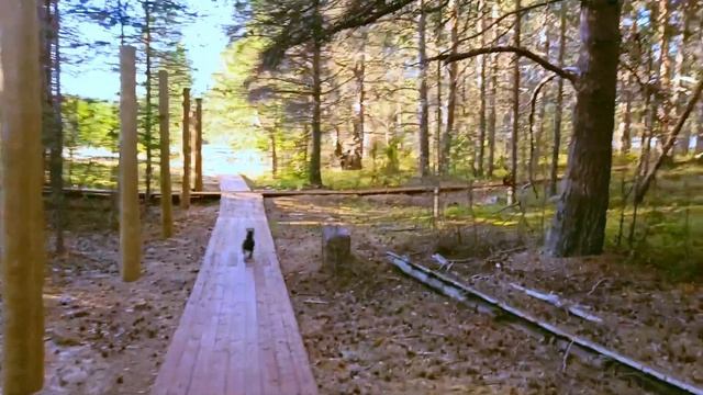 о_Мудьюг_с_трагической_судьбой