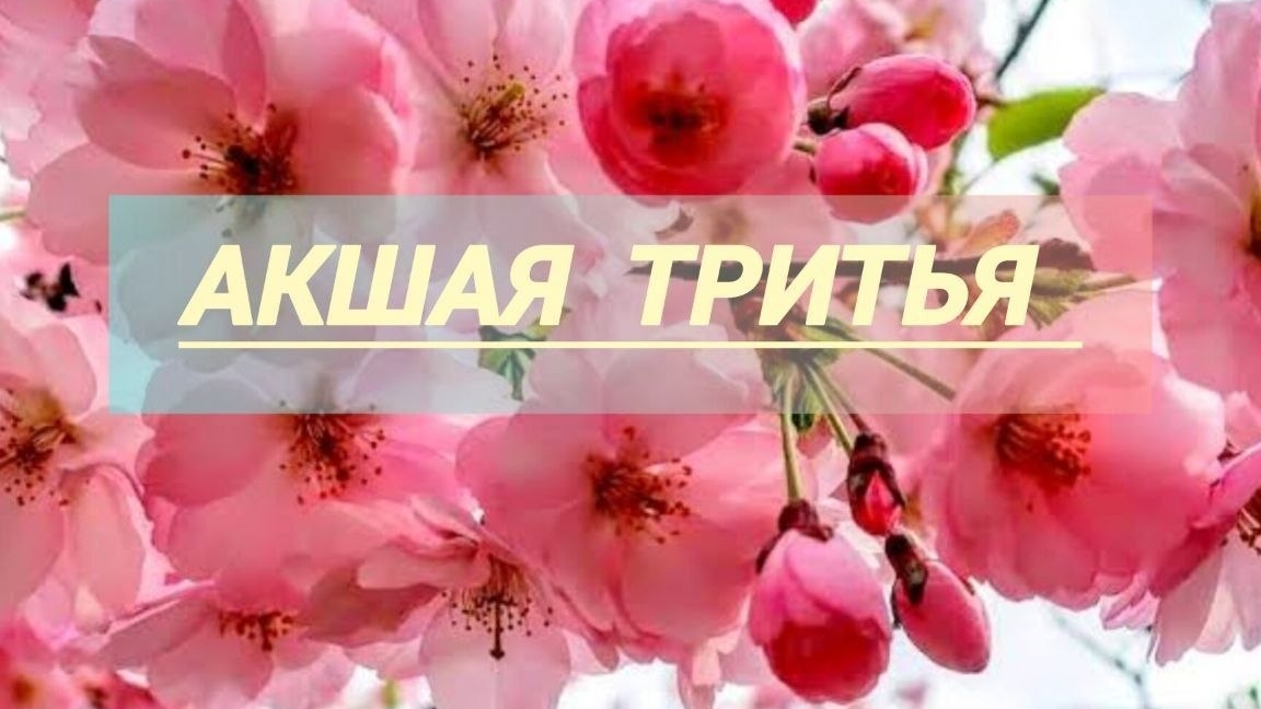 "Акшая Тритья", Джапа с 24 и 25 паури Джап Джи (по 31 мин)