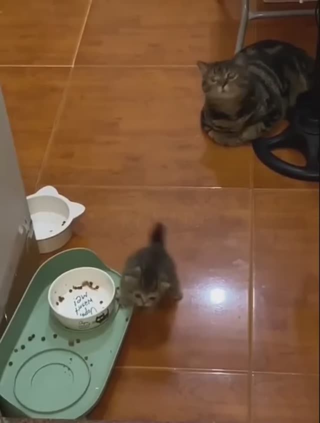 Нервный тик