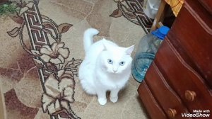 Ирина пришла из магазина. Давно не выходила