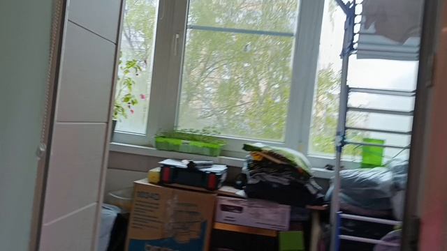 Заставки Свиняха 3000 ТВ