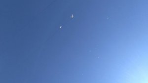 Погода супер гоняем голубей ...