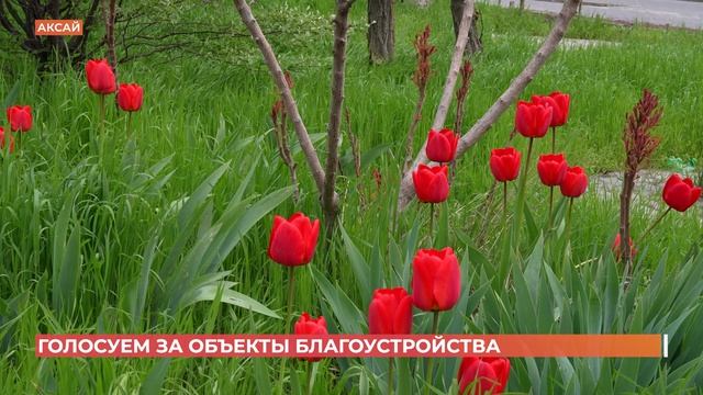 Из заброшенной лесополосы в современную пешеходную зону превратилась улица Ермака в Аксае