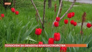 Из заброшенной лесополосы в современную пешеходную зону превратилась улица Ермака в Аксае