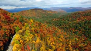 Осенний блюз-Золотой саксофон