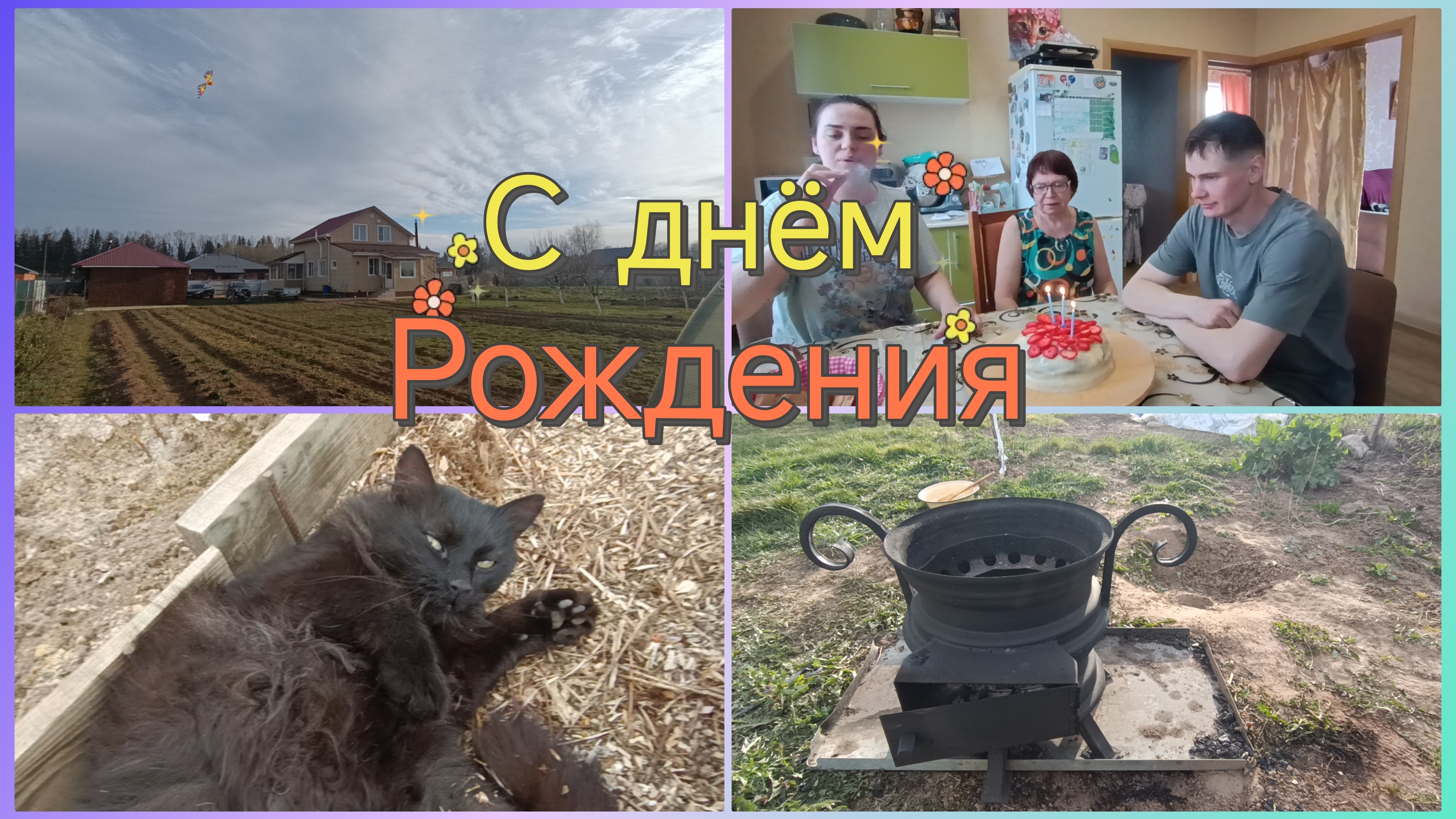 Плов.В гости.Рассада у мамы