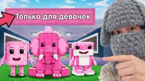 Я ПРОБРАЛСЯ НА СЕКРЕТНЫЙ СЕРВЕР ДЛЯ ДЕВОЧЕК… МЕНЯ СПАЛИЛИ!