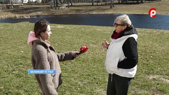 Новая профессия