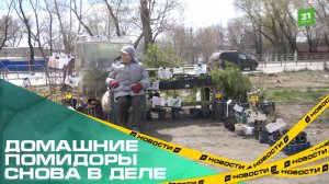 Домашние помидоры снова в деле. В Челябинске открывают новую площадку для ярмарки садоводов