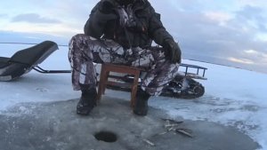 ВОТ ЭТО КЛЁВ!СТОЛЬКО МНОГО КОРЮШКИ Я ДАВНЕНЬКО НЕ ЛОВИЛ!