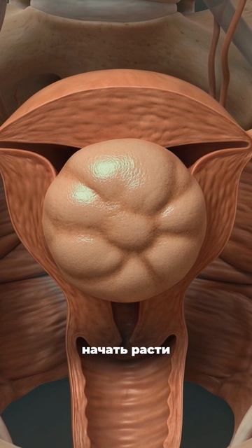 Жёстко. Но честно