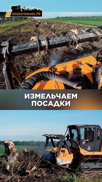 Гусеничный мульчер FAE PT-300 измельчает порубочные остатки