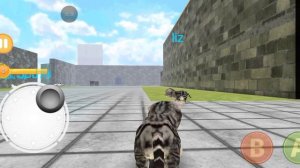 играю в симулятор кота