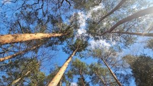 НЕМНОГО О ЖИЗНИ...эфир от 22 апреля 2026 года...