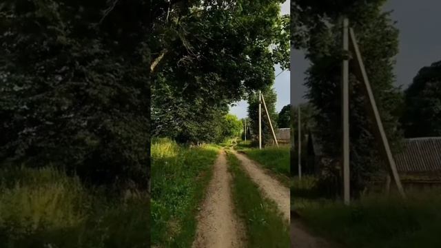 Мой старший брат