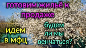 Готовим жильё к продаже. Идем в мфц. Будем ли мы венчаться? Ремонт и работа Олега.