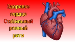 Здоровое сердце / Регулярный сердечный ритм / Восстановление   Матрица П. Гаряева