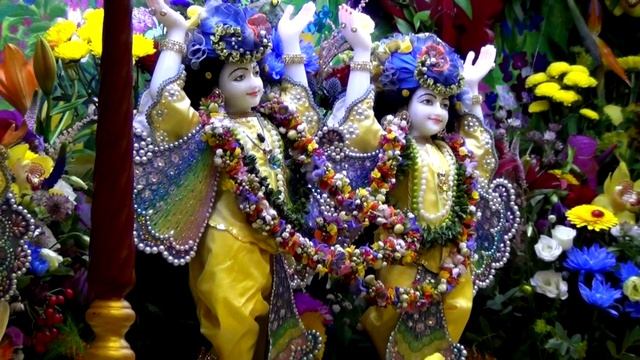 25.08.16.Джанмаштами в КЦ Гаура - арати