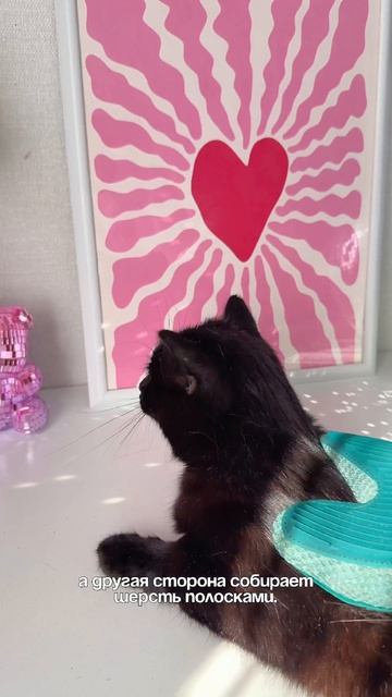 артикул WB 594391544 #обзор #длядома #wildberries #находка #распаковка #обзорпокупок #валдберис #топ