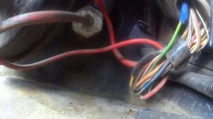 И все-таки был коротыш, и я его нашел.