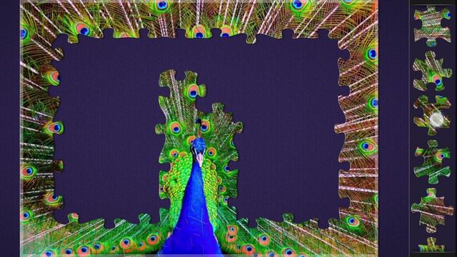 Собираем пазлы. Чудесный павлин