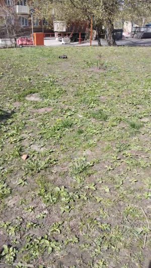 Покатушки на багги | 22-апр-2026