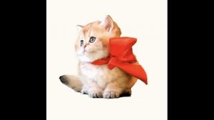 Детские песниэ У окна