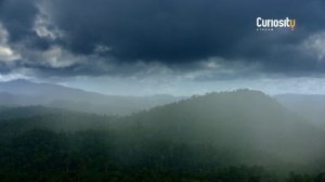 Борнео: Древний Эдем