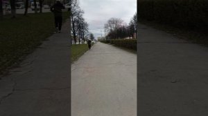 Прошёлся
