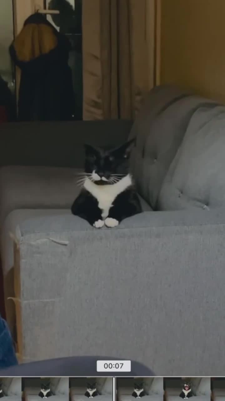 Мyзыкальная пауза