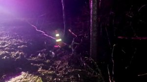 Место происшествия 20.04.26