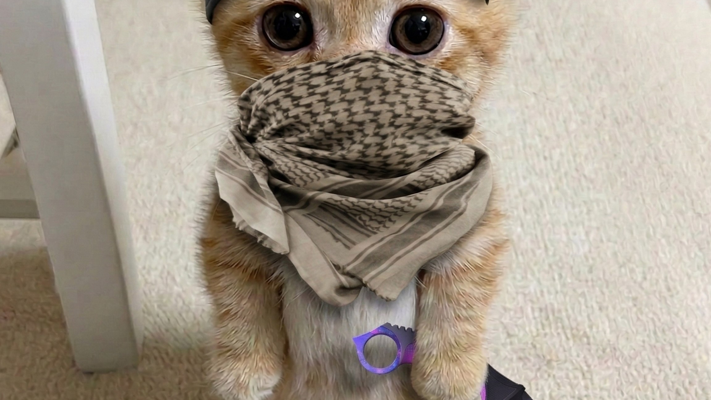 викторина по супер бир адвенчер