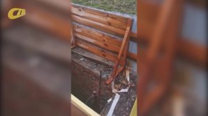 ЖЕЛЕЗНОГОРЦЫ ПОЖАЛОВАЛИСЬ НА ФОНТАН ГОРЯЧЕЙ ВОДЫ, БЬЮЩИЙ ИЗ-ПОД ЗЕМЛИ НА МЕСТЕ БЫВШЕГО ЛАРЬКА