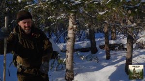 ЗАВЕРШЕНИЕ ТАЁЖНОГО СЕЗОНА: ЗАКРЫВАЮ КАПКАНЫ, СЧИТАЮ СЛЕДЫ, НОЧУЮ В ЗИМОВЬЕ #идилесом 23.02.26