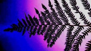 П. Коэльо. О дороге, ведущей в рай. Притча 127. Книга Воина Света