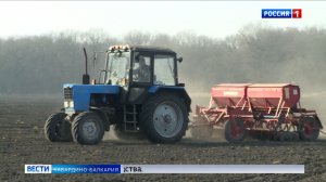 Земледельцы КБР приступили к посеву кукурузы на зерно