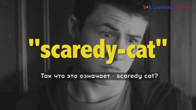 Английские фразы из фильмов: Scaredy-cat