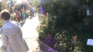 78)D ВОРОНЦОВЫЙ ДВОРЕЦ ТЕРРИТОРИЯ