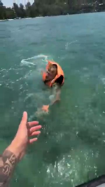 Василич кайфует на море))