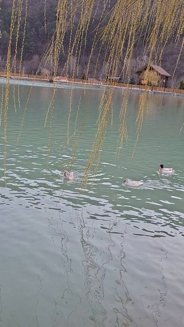 Озеро любви в Крыму | Бахчисарайский район Крыма