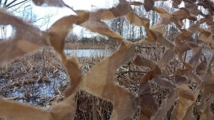 а...в главной роли ОНЖЭ...ОХОТА НА 🦆 СЕЛЕЗНЯ