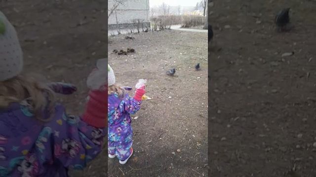 22 Апреля 2026г