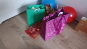 день рождения басика часть 1 🐱🎉🎂
