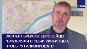 Эксперт Брыков: европейцы "влюбляли в себя" украинцев, чтобы "утилизировать"