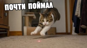 Смех до слёз: лучшие приколы №262