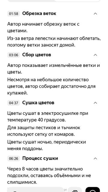 Пересказ фильма Алисой Нейросеть Персик в Крыму