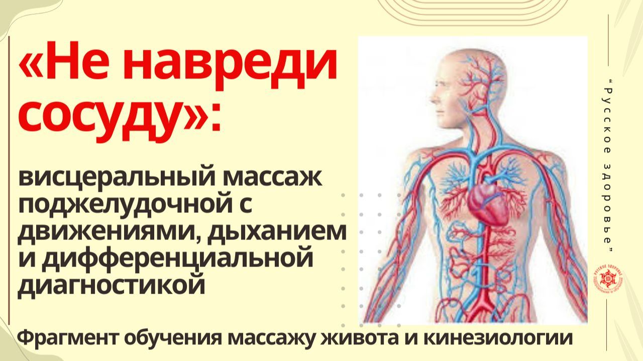 «Не навреди сосуду»: висцеральный массаж поджелудочной с движениями, дыханием и диагностикой.